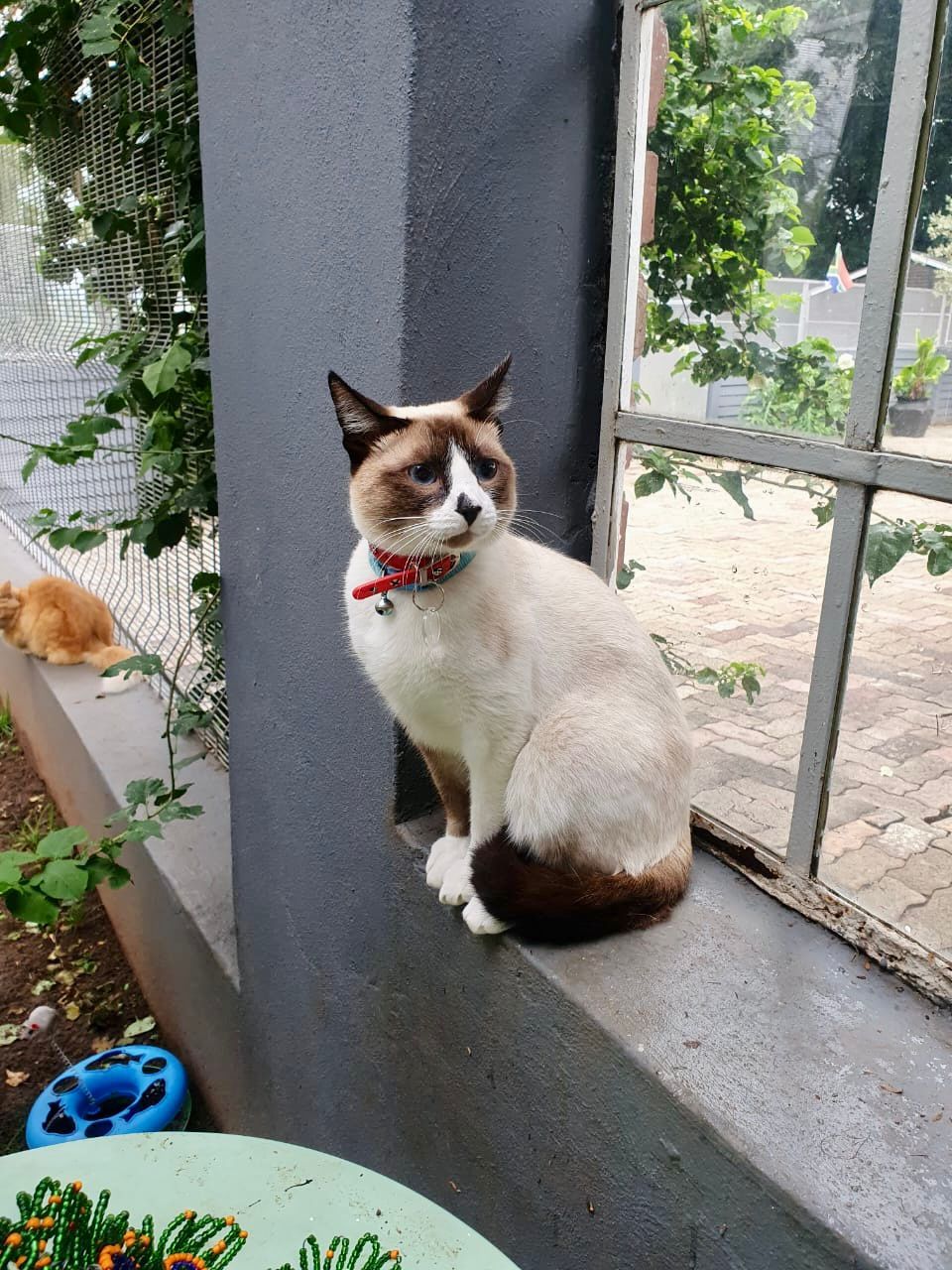 WhatsApp Image 2025-06-11 at 15.50.38_2749400e