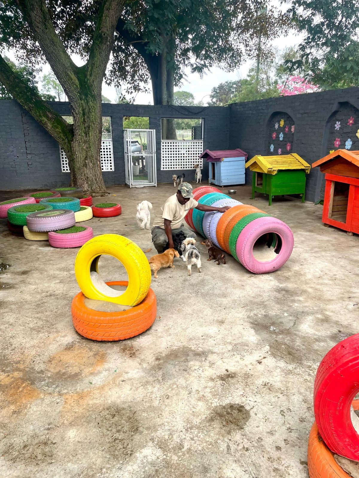 WhatsApp Image 2025-06-11 at 15.51.19_2d7e22ac