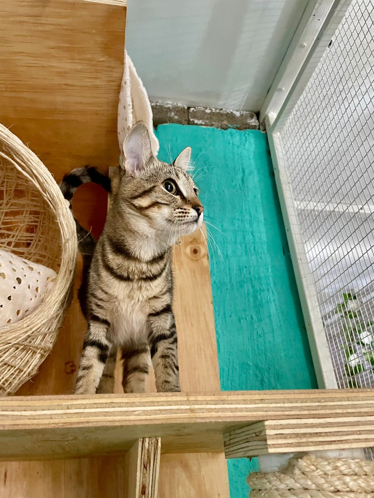 WhatsApp Image 2025-06-11 at 15.50.36_b0e22ace