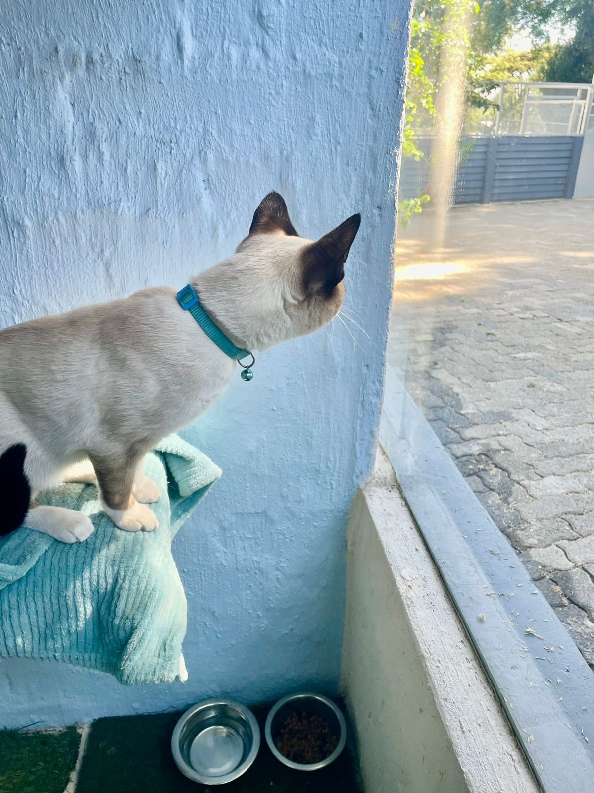 WhatsApp Image 2025-06-11 at 15.50.37_c157792b