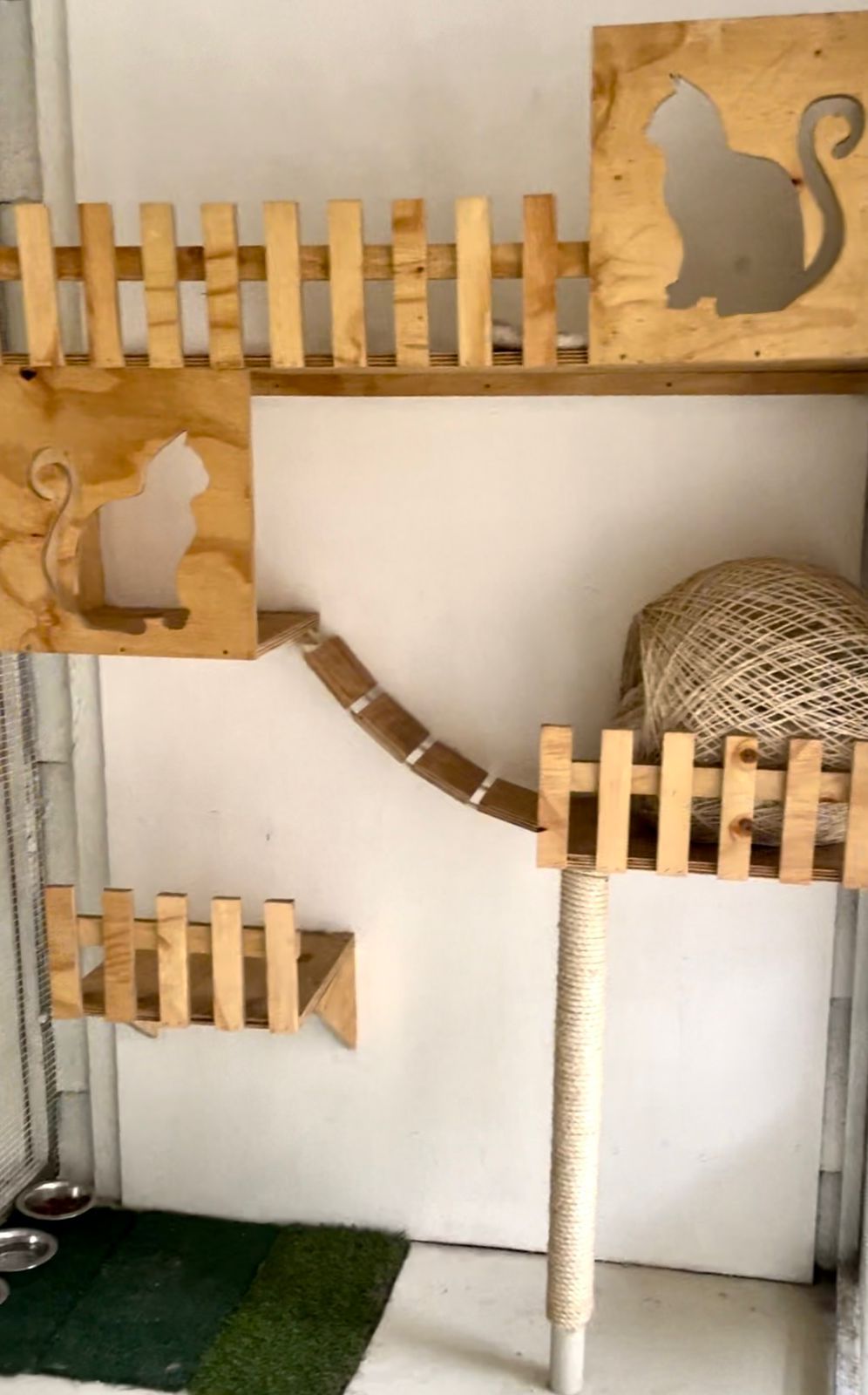 WhatsApp Image 2025-06-11 at 15.51.17_20a53229