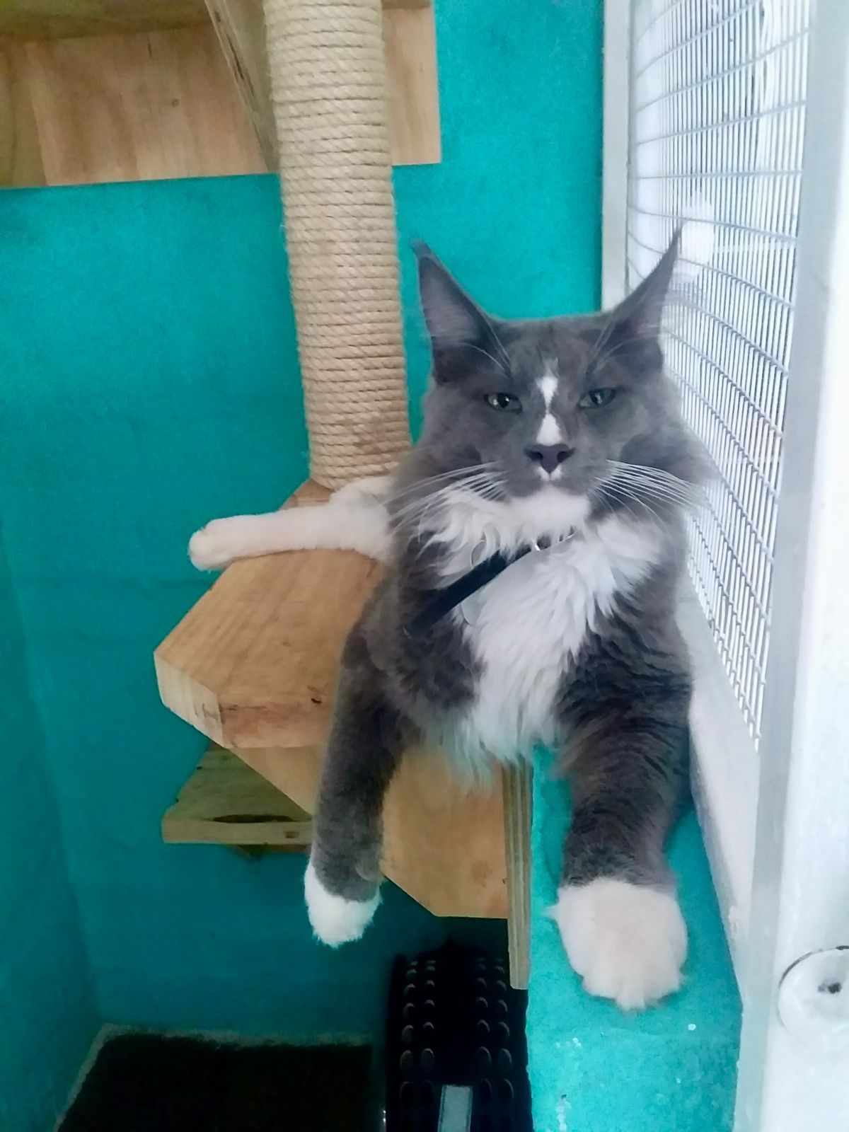 WhatsApp Image 2025-06-11 at 15.50.38_673fbe09