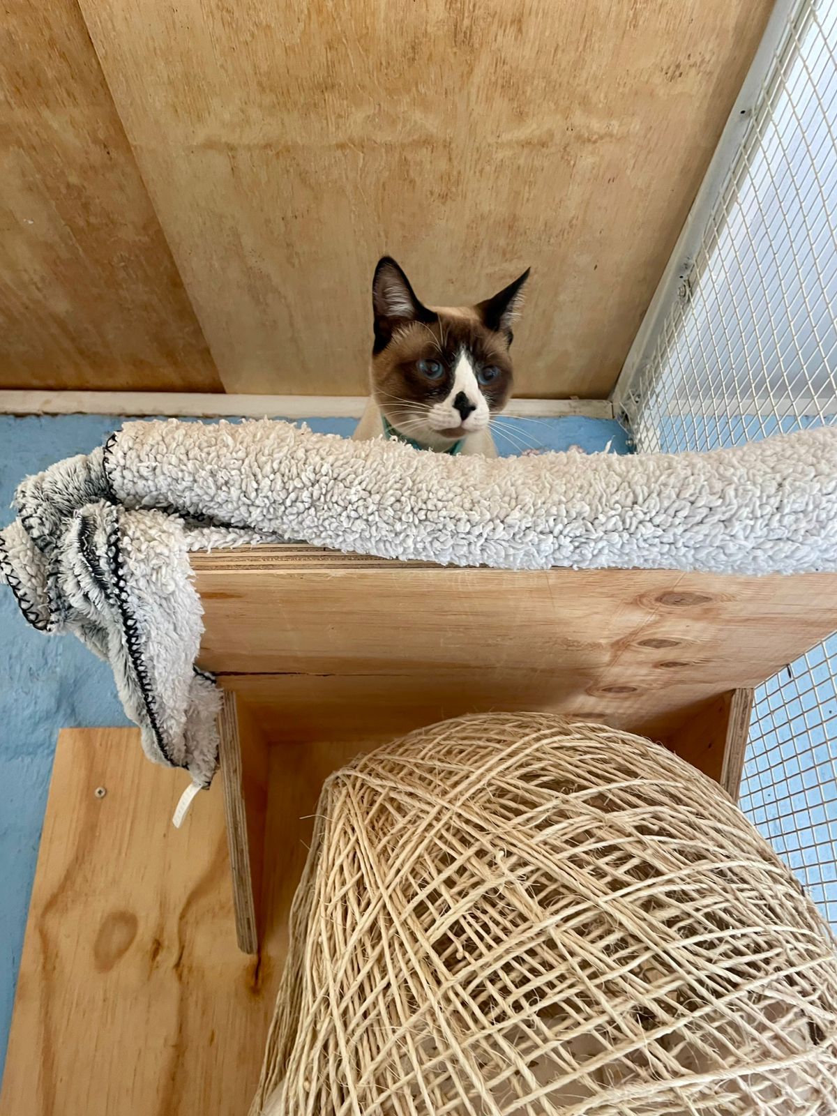 WhatsApp Image 2025-06-11 at 15.50.39_3a1f89c4