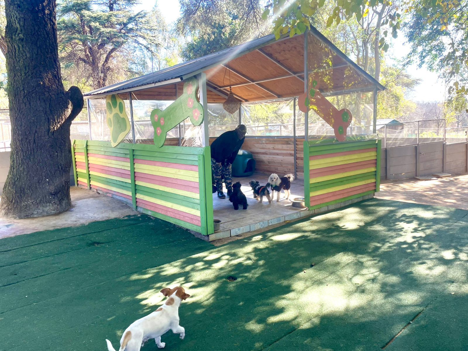 WhatsApp Image 2025-06-11 at 15.51.19_ea575a1e