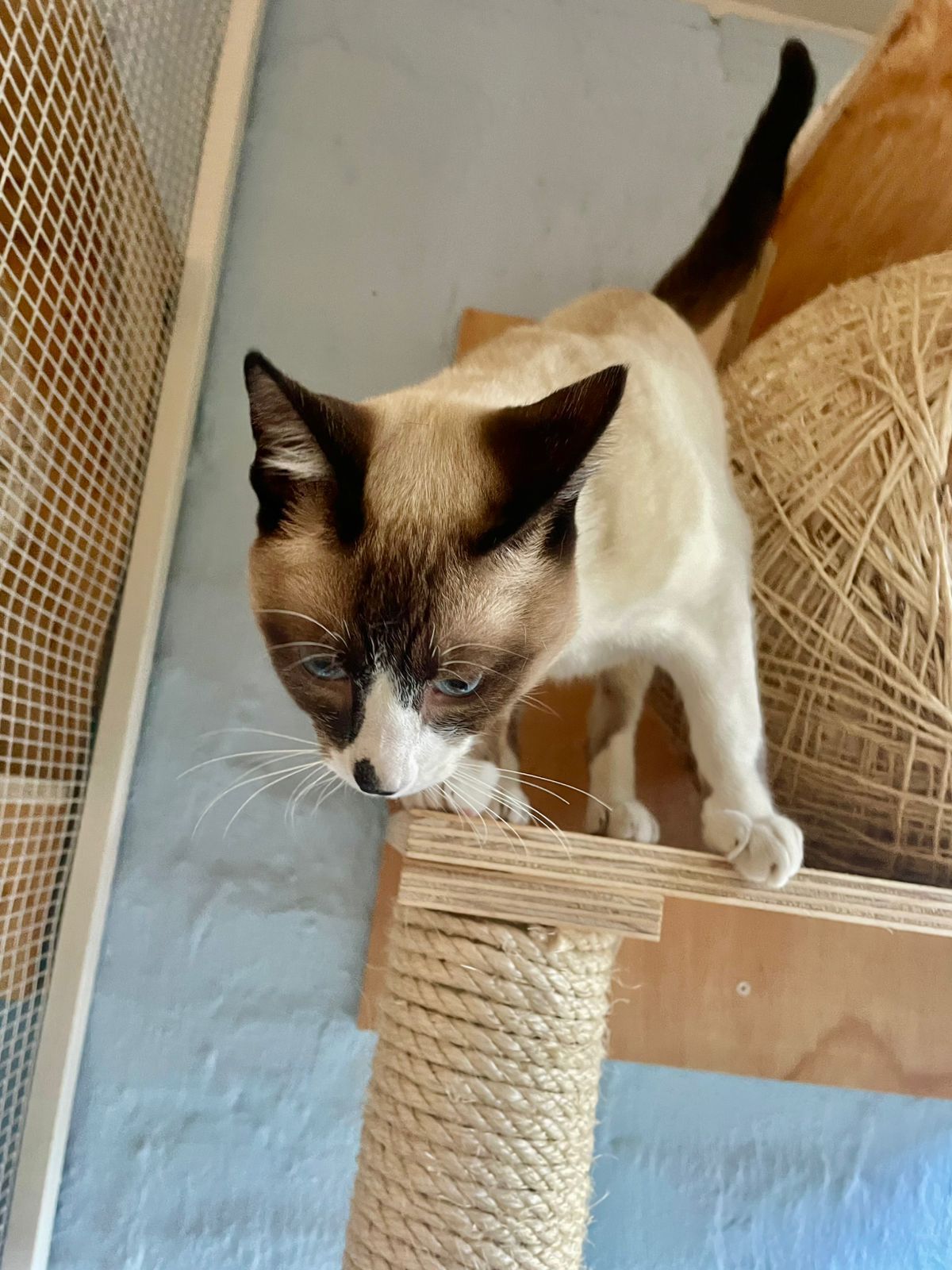 WhatsApp Image 2025-06-11 at 15.50.40_3e020875