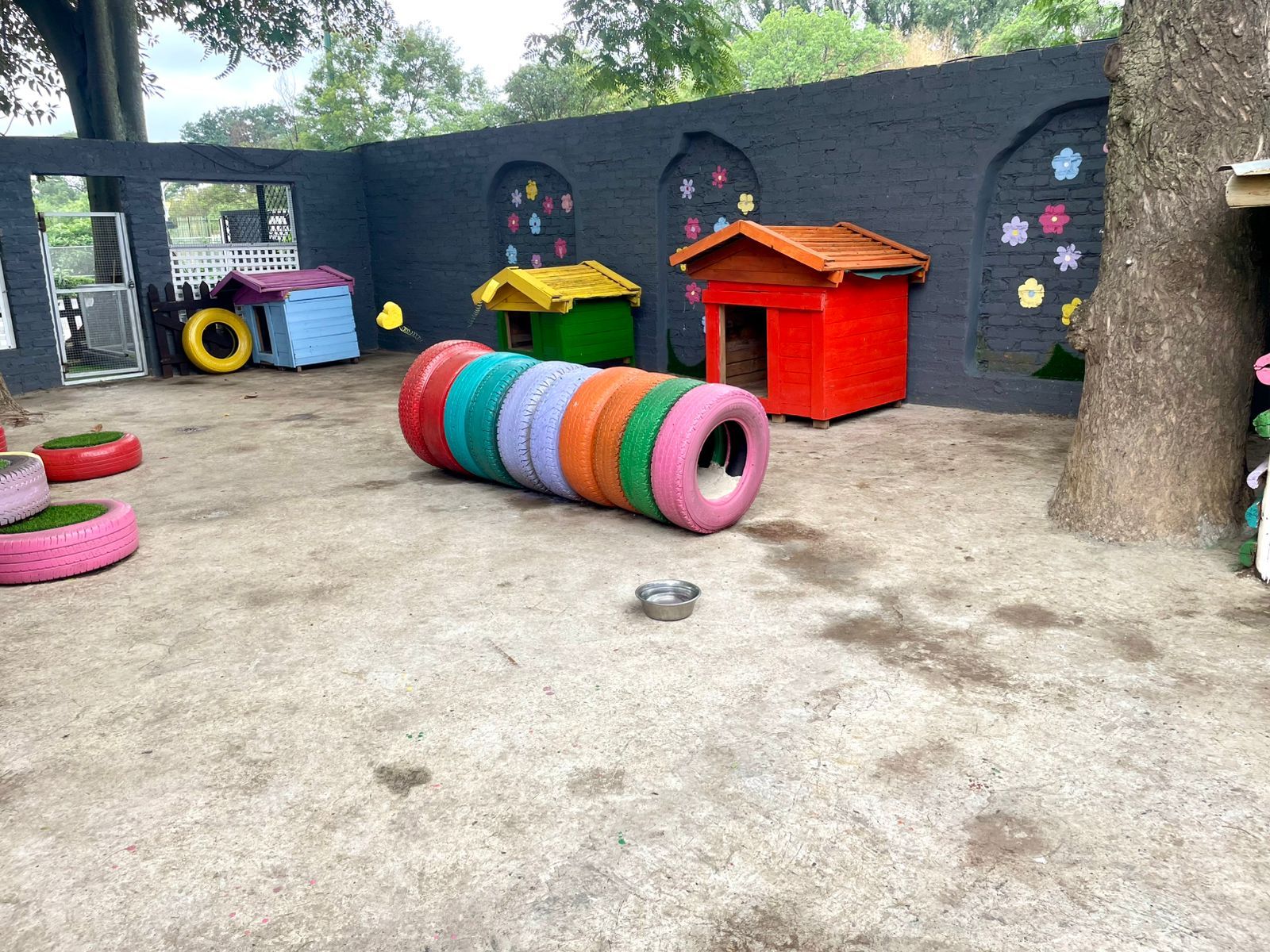 WhatsApp Image 2025-06-11 at 15.51.17_fcb495d0