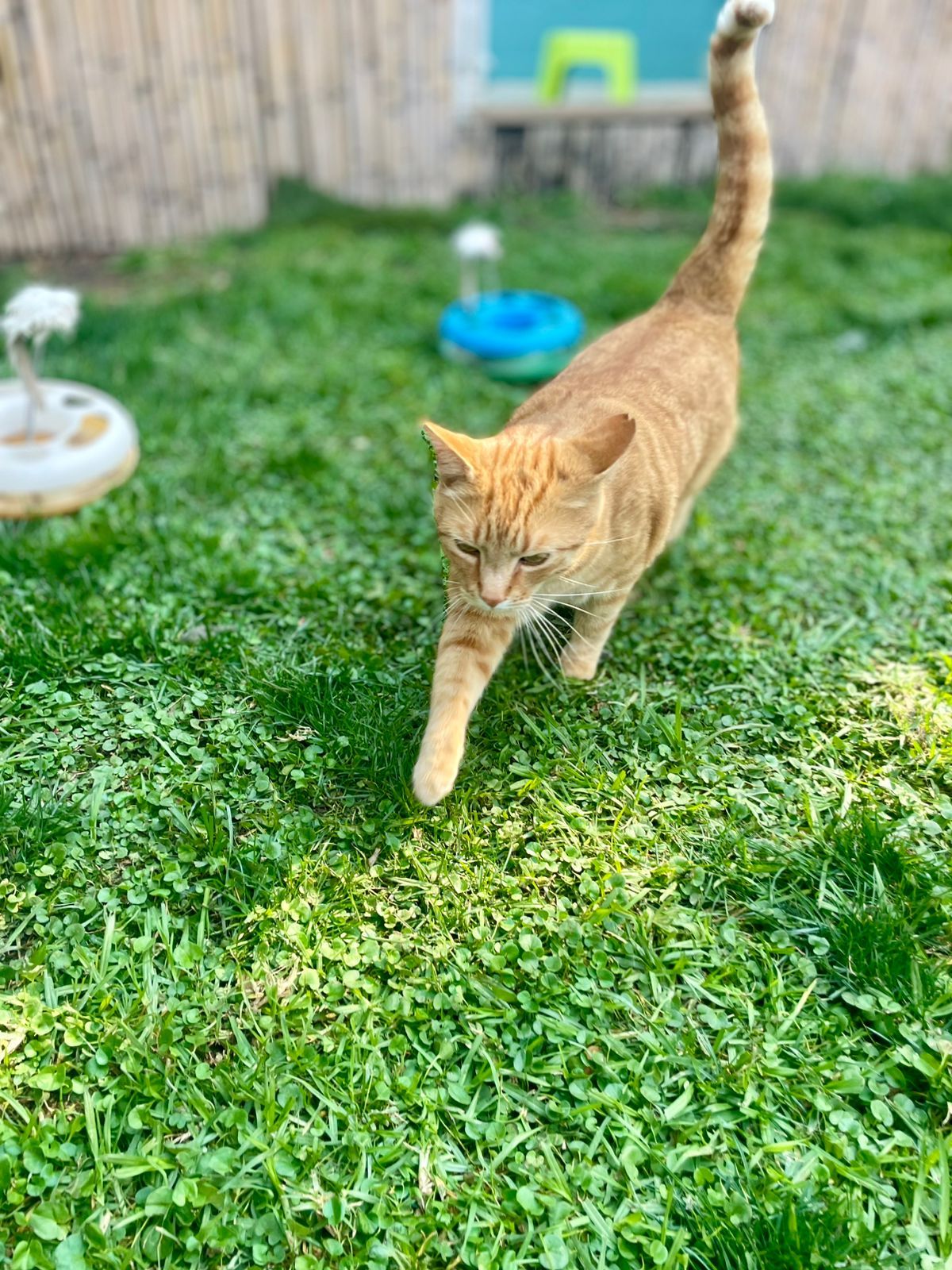 WhatsApp Image 2025-06-11 at 15.51.17_7f6855d0