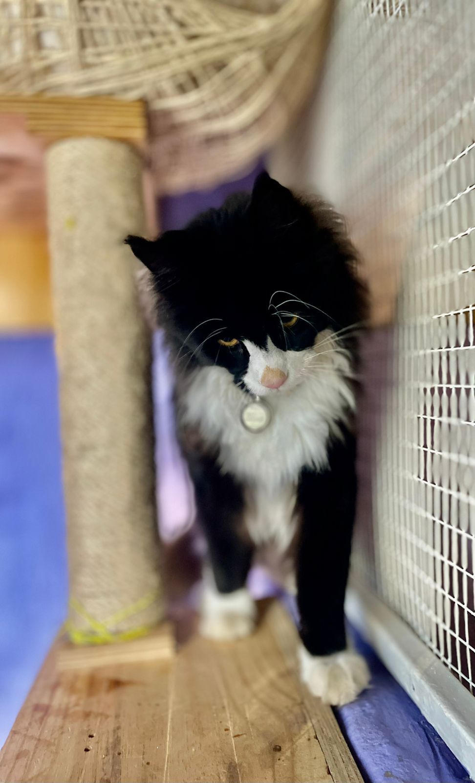 WhatsApp Image 2025-06-11 at 15.50.40_514e760b